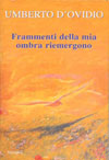 frammenti della mia ombra riemergono